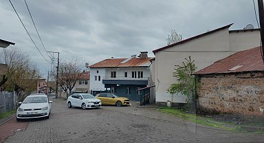 Kurdukları dernekle ev kiralayıp, sokak kedilerine yuva oldular