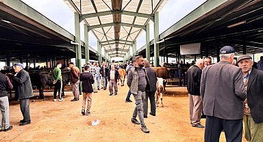 Kütahya'da kurban bayramı öncesi hayvan pazarında hareketlilik