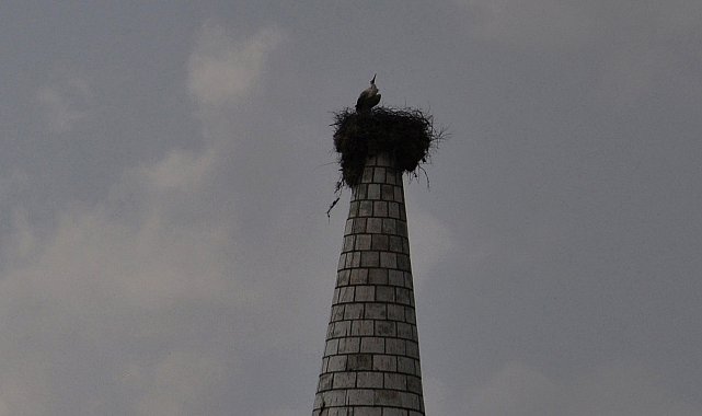 Leylek 'Hitit', bu yıl da mahalleye geldi