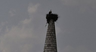Leylek 'Hitit', bu yıl da mahalleye geldi