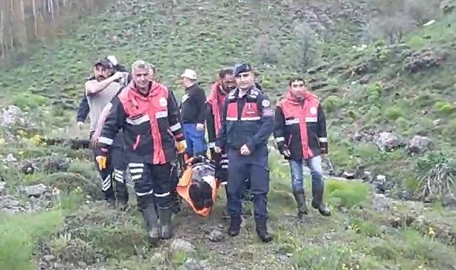 Mantar toplarken ayı saldırısında yaralandı