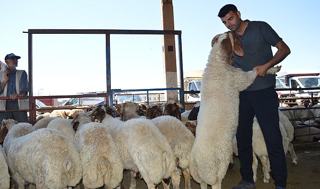 Mardin Kızıltepe'de hayvan pazarında bayram yoğunluğu