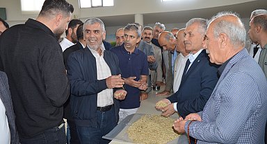 Mardin'de sezonun ilk arpa hasadını yapan çiftçi, gram altınla ödüllendirildi
