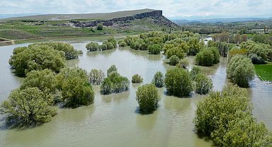 Melendiz Çayı taştı, mesire alanındaki ağaçlar su içinde kaldı