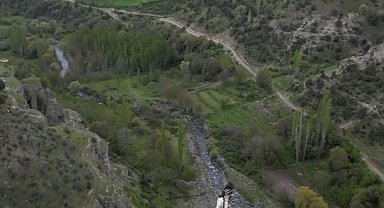 Mısır akbabası yuvasında görüntülendi