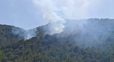 Muğla'da orman yangını