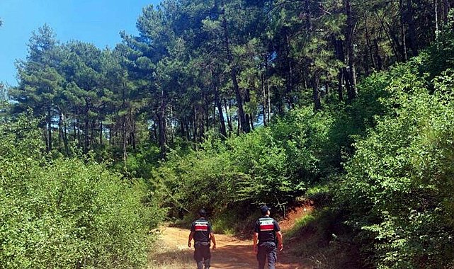 Muğla'da ormanlara giriş yasağı