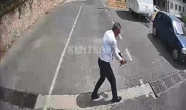 Otobüsü durdurup kaplumbağayı ezilmekten kurtardı