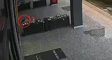 Otomobil, site duvarına çarptı; kaza ve son anda kaçan kedi kamerada