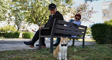 Papyonlu kedi 'Foça', emekli çiftin hayatını değiştirdi