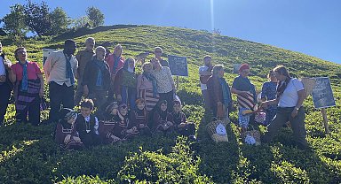 Rize'de çay hasadı şenlikle karşılandı