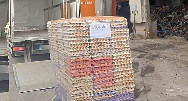 Sakarya'da 42 bin sahte organik etiketli yumurta imha edildi
