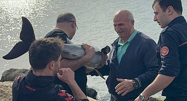 Samsun'da kayalıklara sıkışan yunusu polis kurtardı