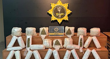 Şanlıurfa'da 20 kilo skunk ele geçirildi