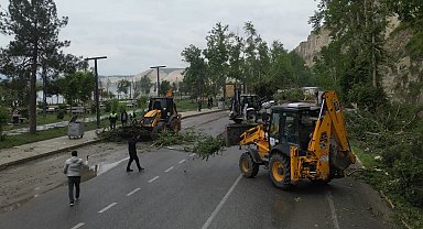 Şanlıurfa'da fırtınada devrilen ağaçlar kaldırılıyor