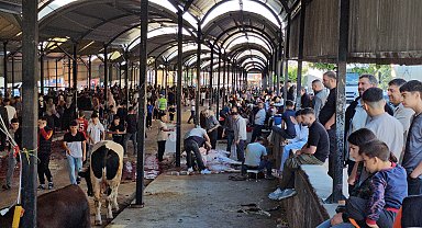 Şanlıurfa'da kurban kesim alanlarında hareketlilik