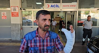 Şanlıurfa'da kurban kesimi sırasında 232 kişi yaralandı