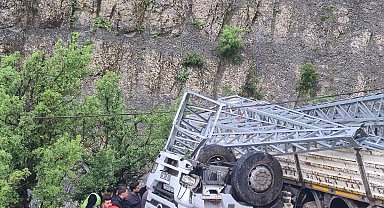 Şarampole yuvarlanan elektrik direği yüklü kamyonun şoförü öldü