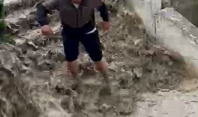 Sel sularına kapılan kediyi boğulmaktan kurtardı