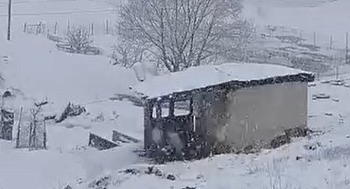 Şırnak'ta Faraşin Yaylası'nda kar yağışı