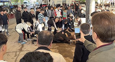 Sivas'ta kurban kesim noktalarında hareketlilik
