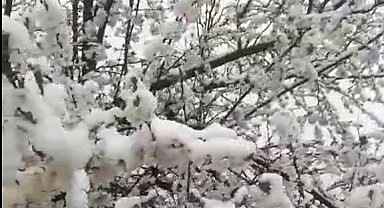 Sivas'ta yüksek kesimlere kar yağdı