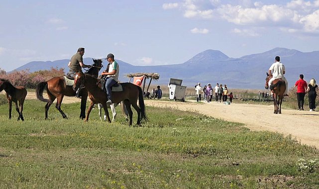Sultan Sazlığı Milli Parkı'na bayramda ziyaretçi akını