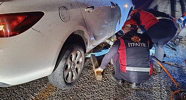Sürüye çarpan otomobildeki 2 kişi yaralandı, 40 koyun öldü