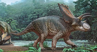Tayland'da yeni bir dinozor türüne ait kalıntılar bulundu