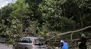 Tekirdağ'da kuvvetli rüzgarda ağaç otomobilin üzerine devrildi