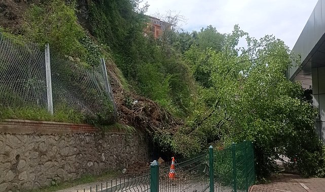 Terminal bölgesinde heyelan; yıkılan ağaç, peronlara devrildi