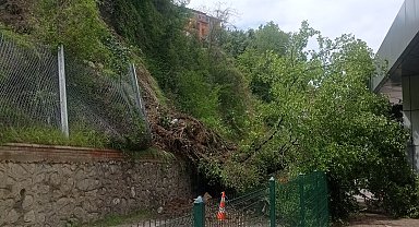 Terminal bölgesinde heyelan; yıkılan ağaç, peronlara devrildi
