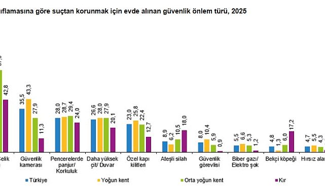 TÜİK: Suçtan korunmak için alınan en yaygın önlem çelik kapı oldu