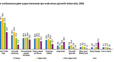 TÜİK: Suçtan korunmak için alınan en yaygın önlem çelik kapı oldu