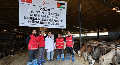 Türk Kızılay'ın vekaletle kurban kesimleri sürüyor