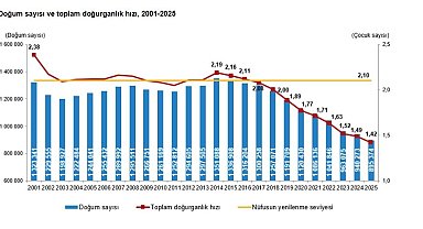 Türkiye'nin doğurganlık hızı 1,42'ye geriledi
