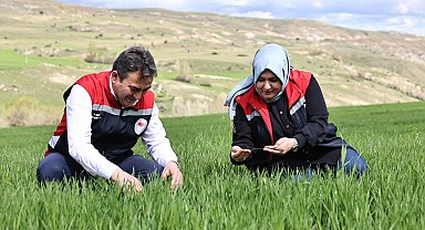 Yağışlar nedeniyle tarımda 'sarı pas' alarmı
