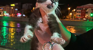 Yeşilırmak kıyısında mahsur kalan kedi kurtarıldı