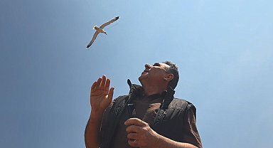Zeytinburnu'nda anten tamiri için çatıya çıktı martıların saldırısına uğradı; 'Az kalsın çatıdan düşecektim'