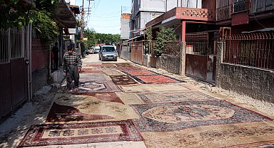 Adana'da 8 aydır asfaltlanmayan yola halı serip çözüm istediler