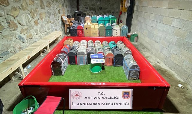 Artvin'de 'horoz dövüşü' operasyonu; 39 kişiye toplam 508 bin 248 TL ceza