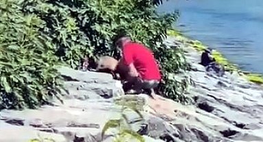 Avcılar Sahili'nde köpeğe şiddet kamerada
