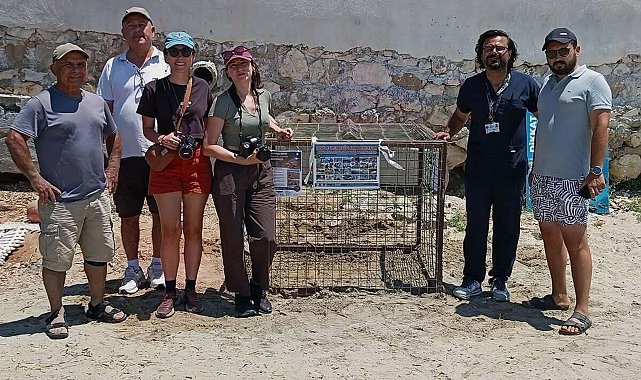 Aydın'da ilk caretta caretta yuvası Didim'de tespit edildi