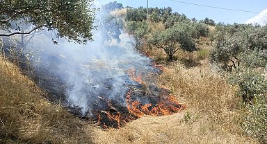 Aydın'da maki yangını; 40 dekar alan zarar gördü