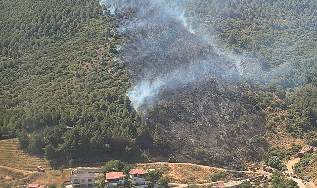 Balıkesir'de orman yangını