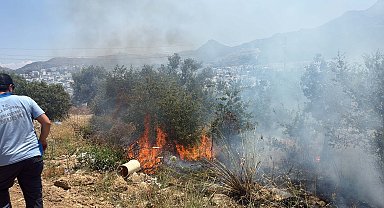 Bodrum'da maki yangınında 1 dekar alan zarar gördü