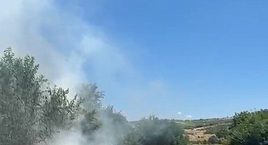 Bursa'da anız yangınında 20 dönüm alan zarar gördü