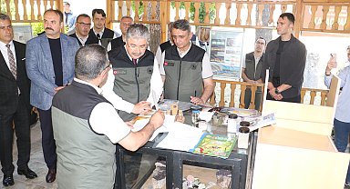 Bursa'da yanan ormanlar, Eskişehir'de üretilen fidanlarla yeşillenecek
