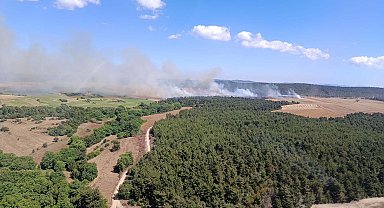 Çanakkale'de orman yangını