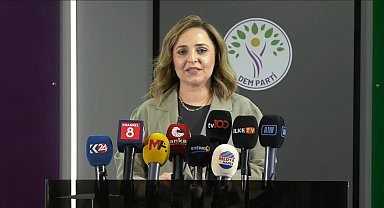 DEM Parti'li Doğan'dan 'Terörsüz Türkiye' süreci açıklaması